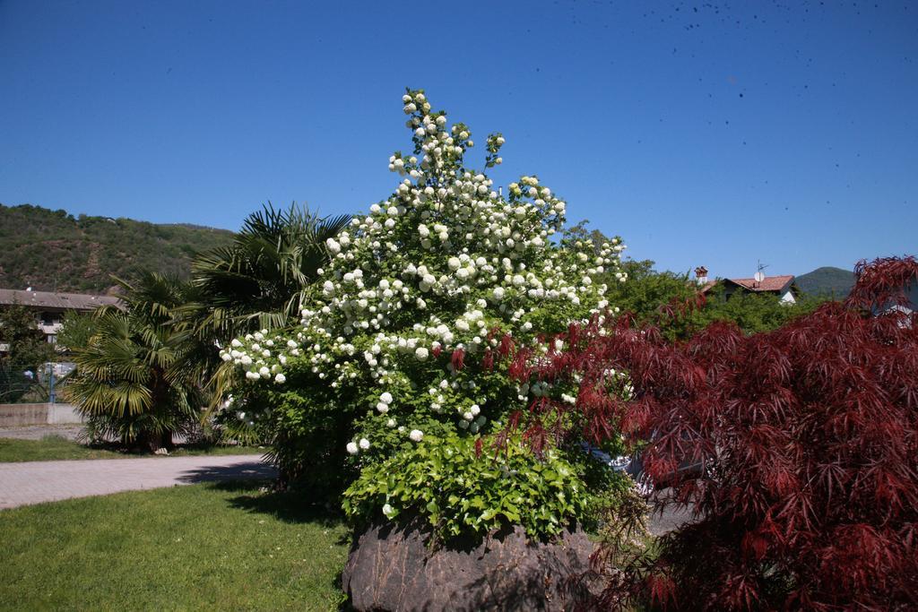 Hotel Il Canneto Porto Ceresio Buitenkant foto